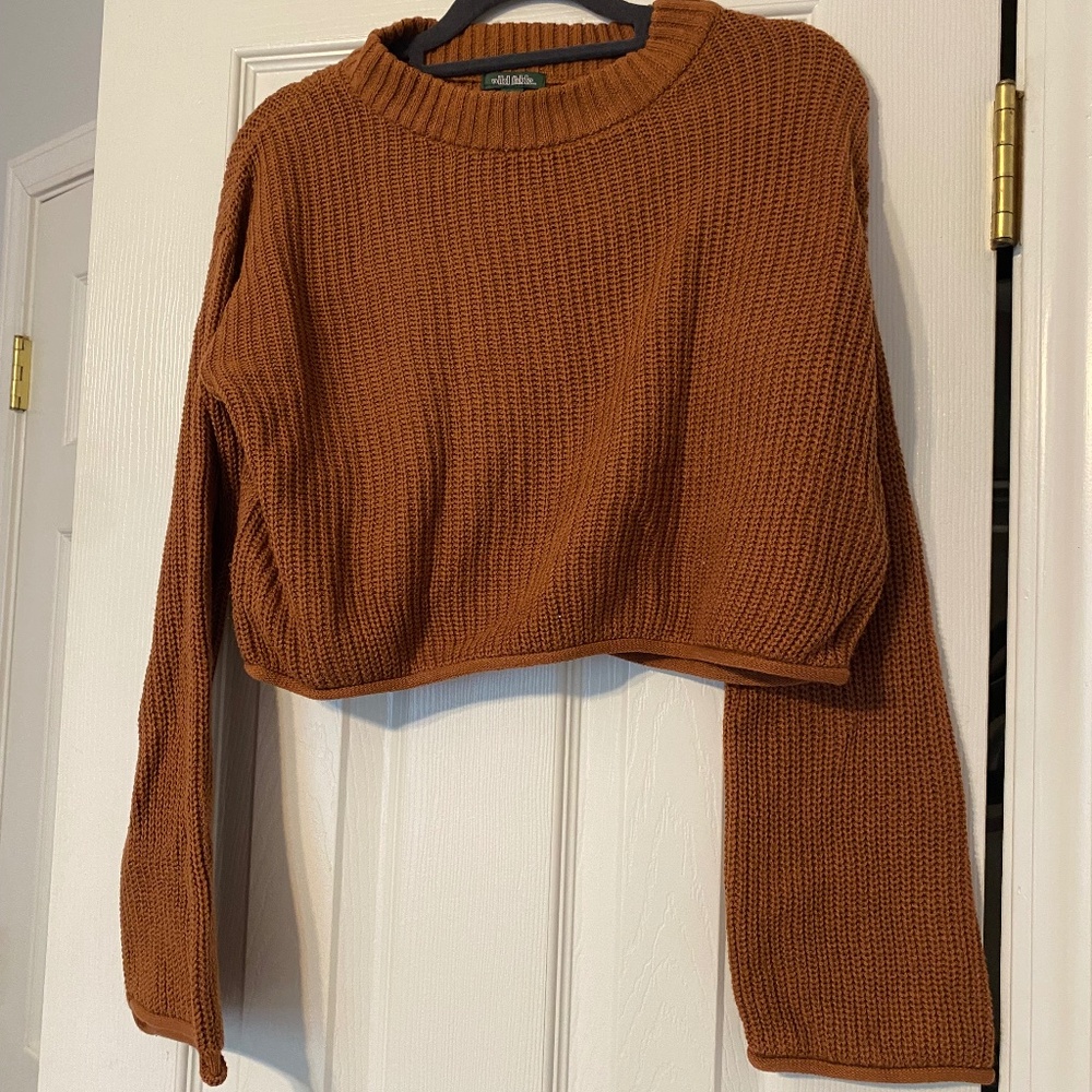 Wild Fable - Orange Cropped Sweater